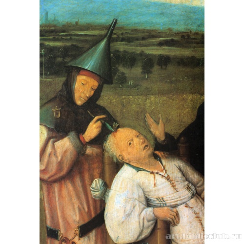 Исцеление глупости. Фрагмент