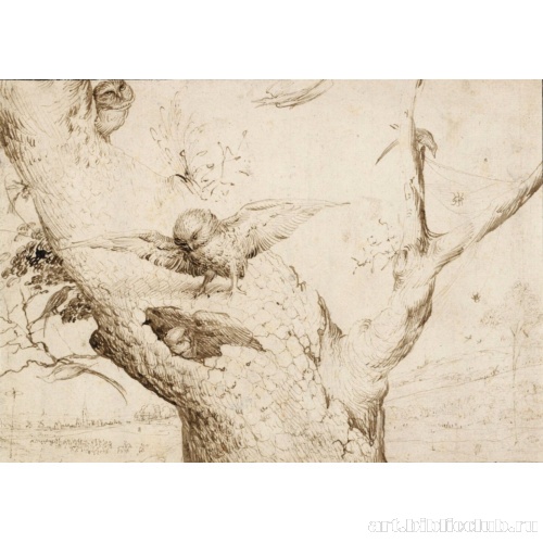 Рисунок с гнездом совы