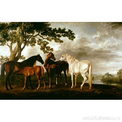 Кобылы и жеребята на фоне пейзажа с рекой