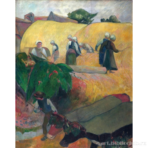 Сбор урожая в Бретани