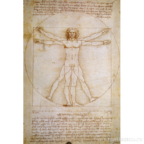 Витрувианский человек