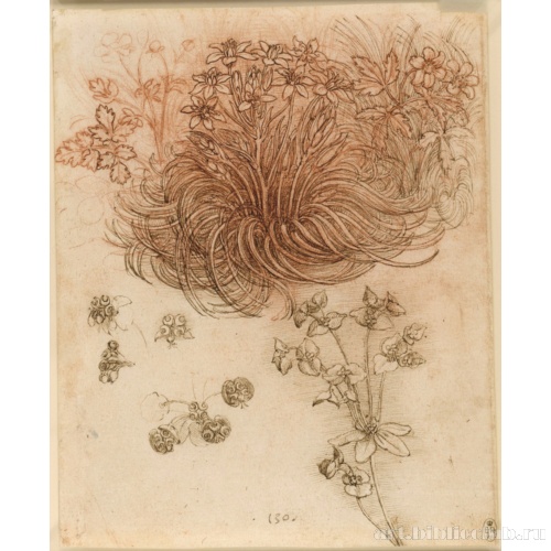 Звезда Вифлеема