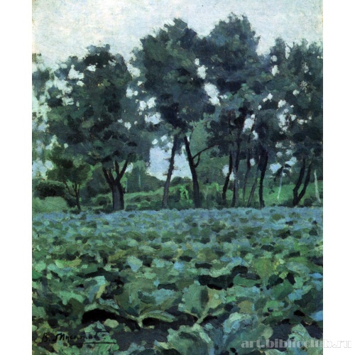 Капуста и ветлы