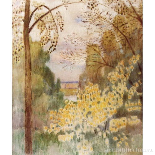 Куст орешника