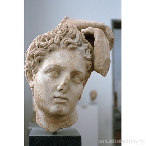 Голова Аполлона. Копия
