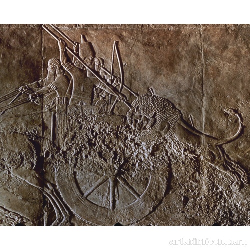 Рельеф из дворца. Ашшурбанапала в Ниневии. Фрагмент