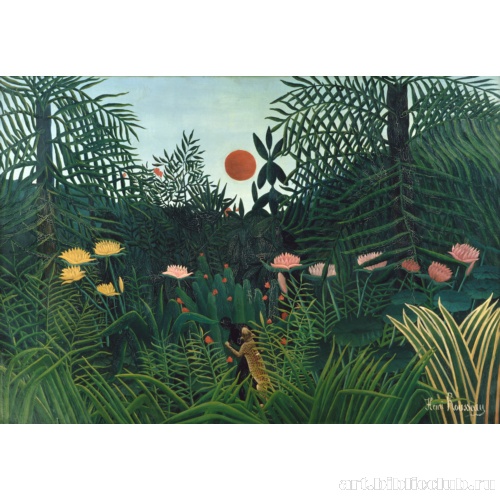 Девственный лес при заходящем солнце