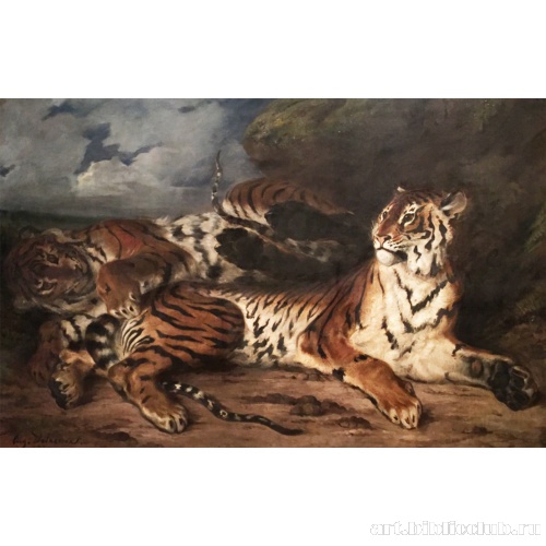 Молодой тигр, играющий со своей матерью