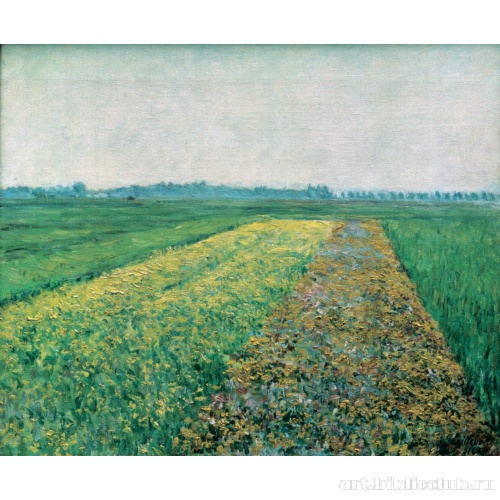 Желтые поля в Жанвиле