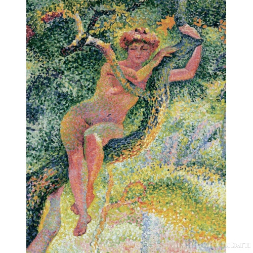 Поляна. Фрагмент