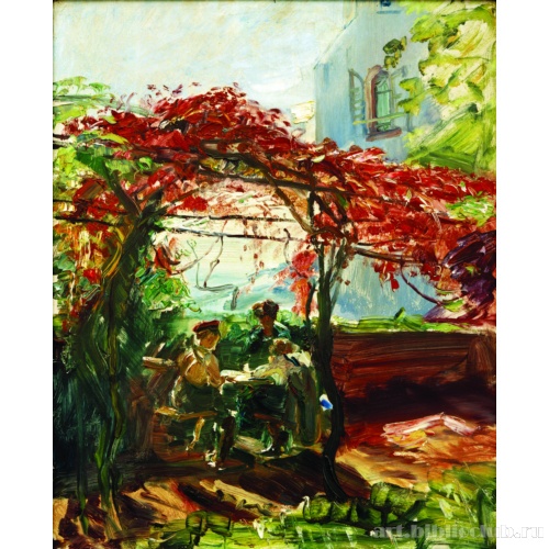 Беседка, увитая виноградом в Нойкастеле