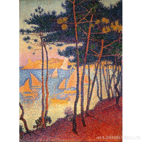 Паруса и сосны