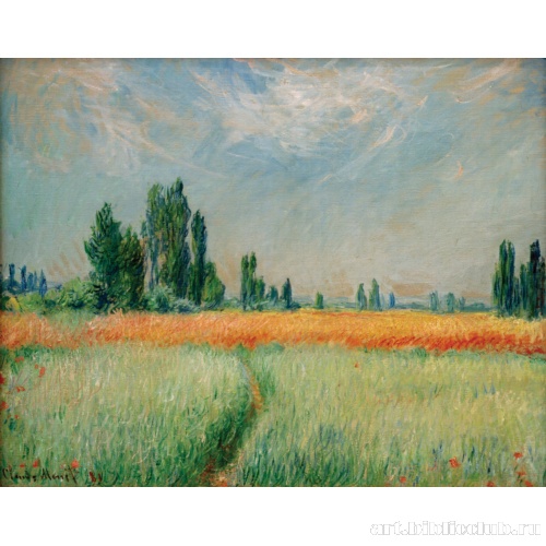 Пшеничное поле