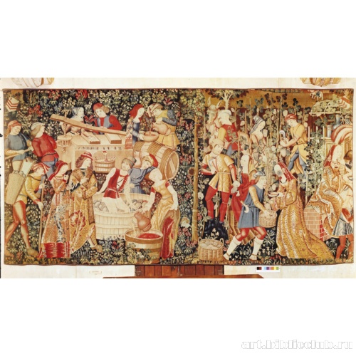 Сбор винограда