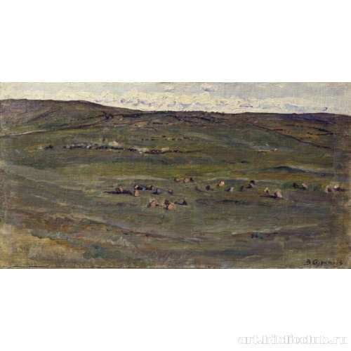 Табун лошадей в Барабинской степи