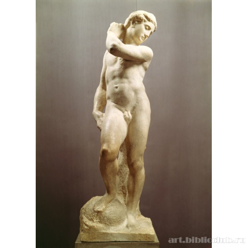 Давид-Аполлон