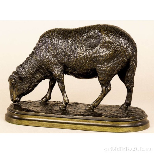 Пасущаяся овца