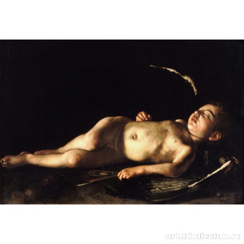 Спящий Амур