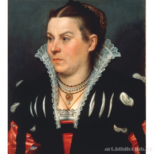 Портрет знатной дамы