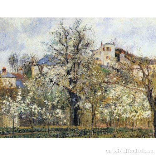 Сад и цветущие деревья. Весна