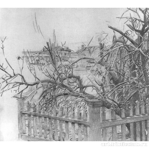 Дерево у забора