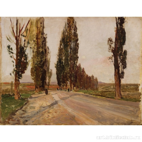 Тополиная аллея возле Планкенберга