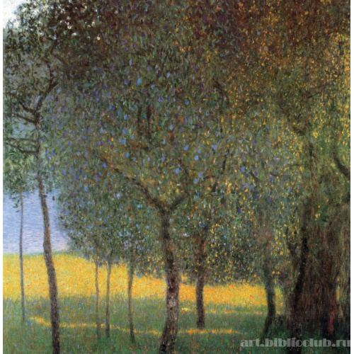 Фруктовые деревья