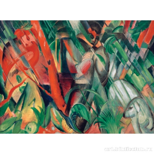 Во время дождя