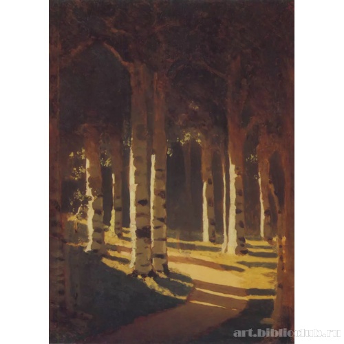 Солнечный свет в парке