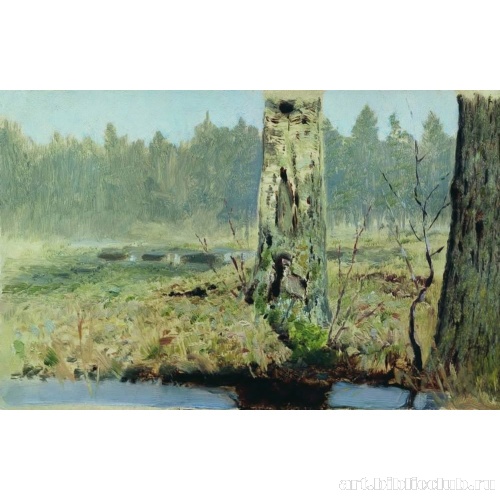 Стволы деревьев