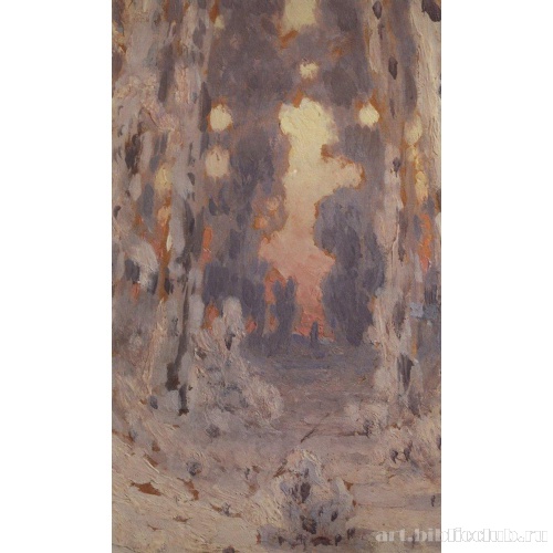 Солнечные пятна на инее. Закат в лесу