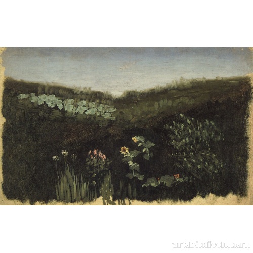 Подсолнухи. Крым