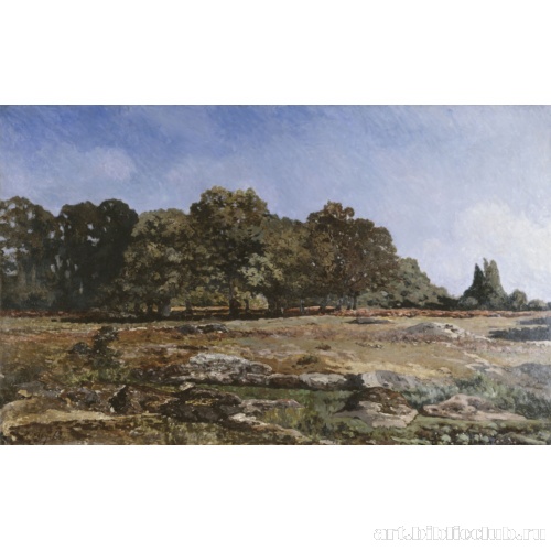 Аллея каштанов в Сель-Сен-Клод