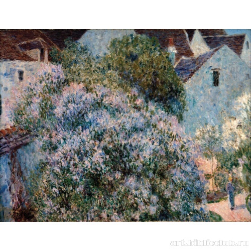 Сирень в моем саду