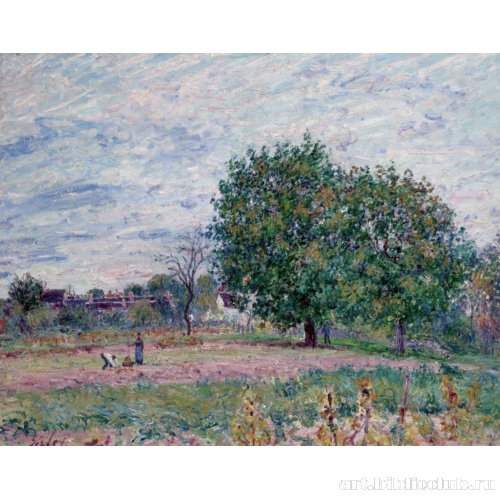 Ореховые деревья перед заходом солнца, Октябрь