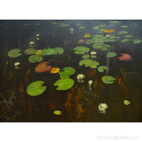 Лилии. Ненюфары