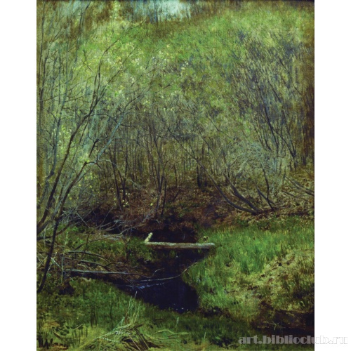 Весна в лесу