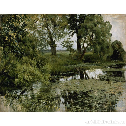 Заросший пруд