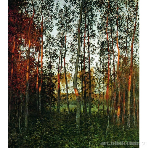 Последние лучи солнца. Осиновый лес