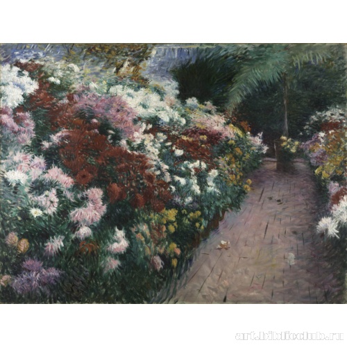 Хризантемы