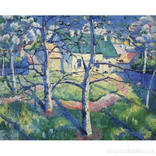 Цветущие яблони