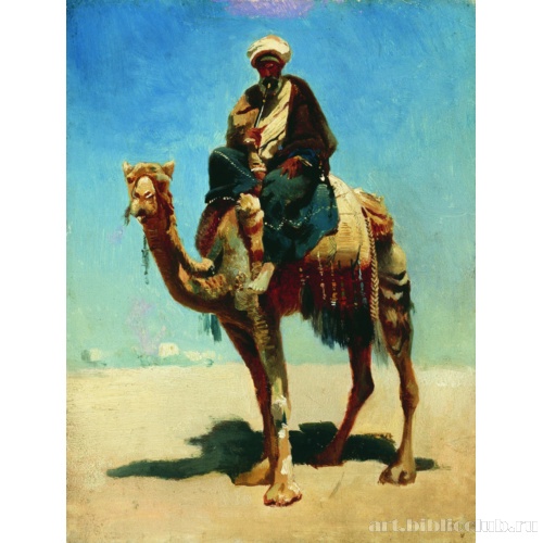 Араб на верблюде