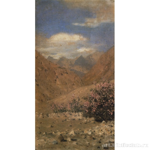 Розы в Ладакхе