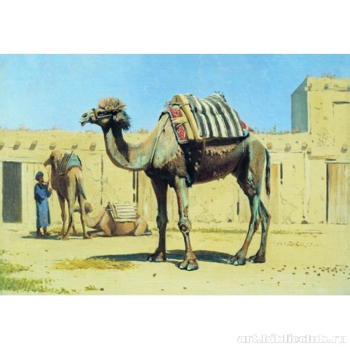 Верблюд во дворе караван-сарая