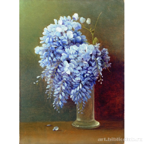 Букет глициний