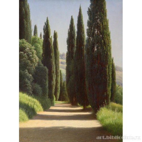 Окраина Алупкинского парка. Аллея