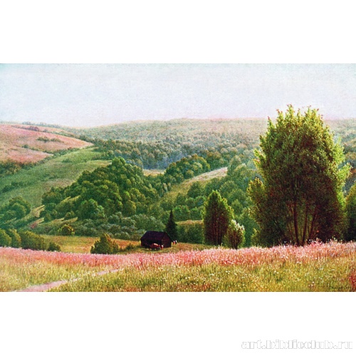 Лесные дали