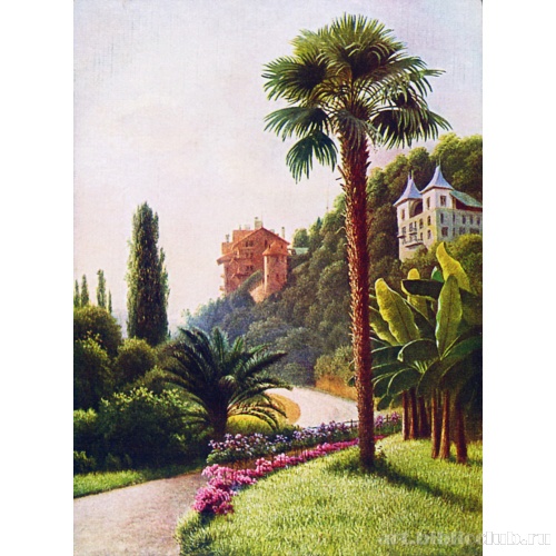 Вид с пальмой