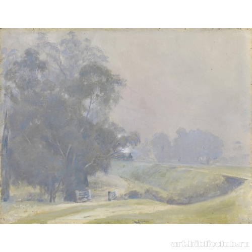 Туман на дороге в Да