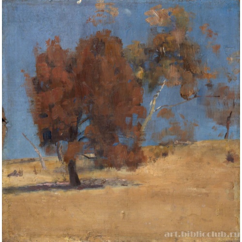 Ши-оак и солнечный свет